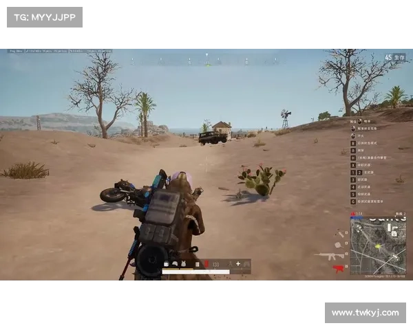 绝地求生全方位生存策略提升指南从新手到高手的实战技巧解析