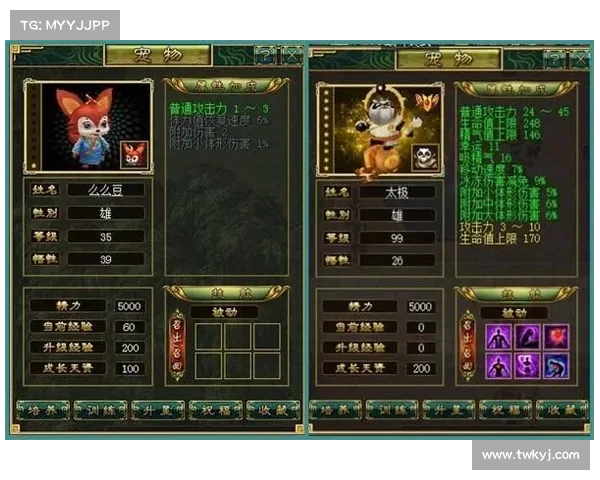 实战技巧全面解析法宝属性提升战力的方法与策略