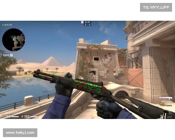 2023年值得信赖的俄罗斯CSGO皮肤交易平台最佳推荐与选择指南