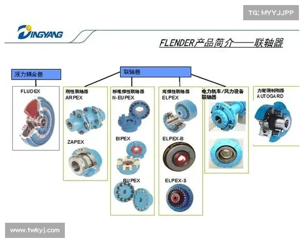 全面解析以弗兰核心技术特点及其创新应用前景与发展趋势研究全貌