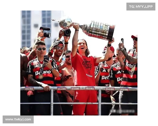 揭秘美洲杯冠军背后蕴含的历史意义与南美足球荣耀